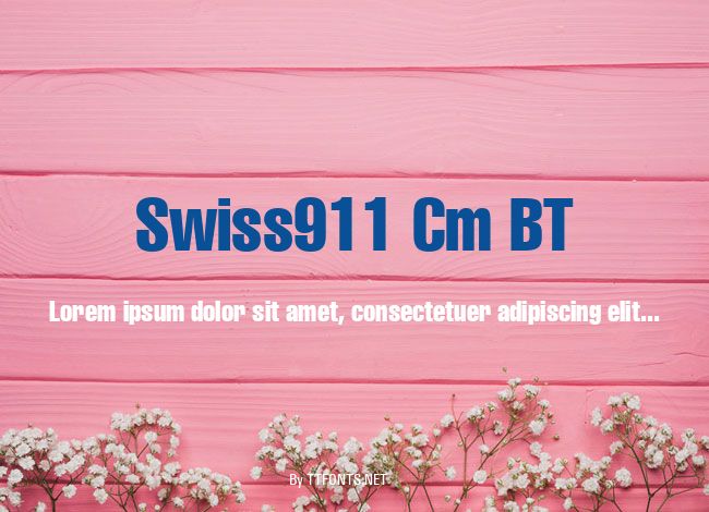 Swiss911 Cm BT example