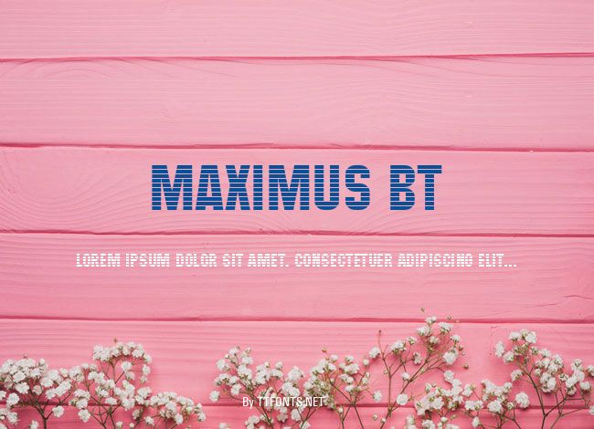 Maximus BT example