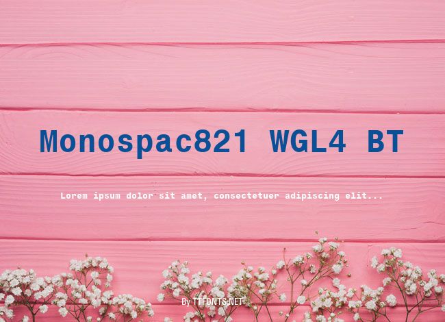 Monospac821 WGL4 BT example