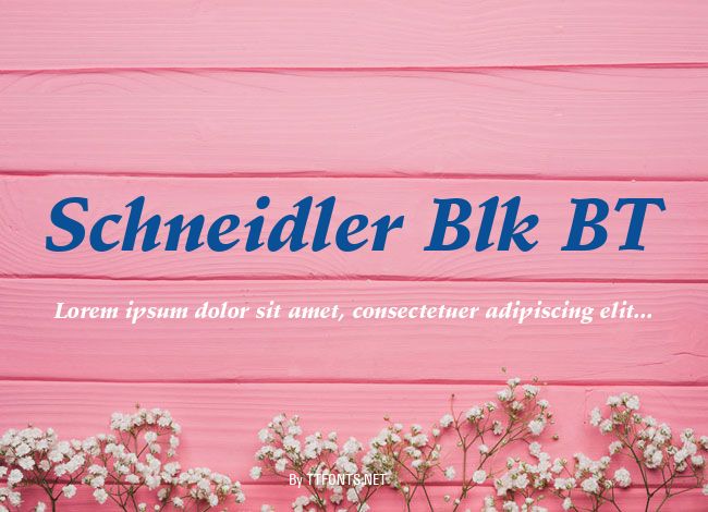 Schneidler Blk BT example