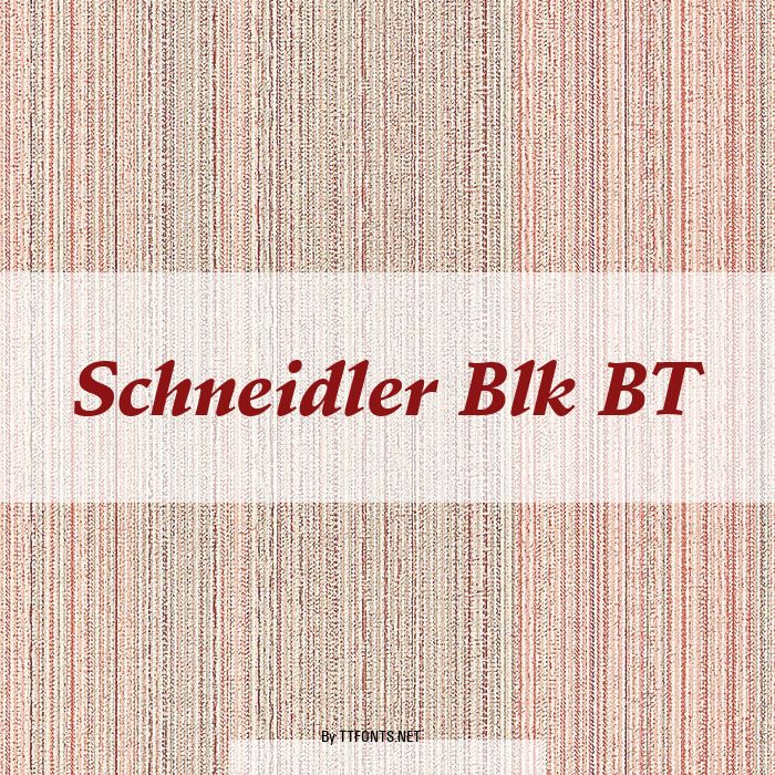 Schneidler Blk BT example