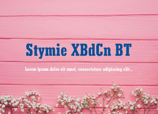 Stymie XBdCn BT example