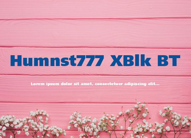 Humnst777 XBlk BT example