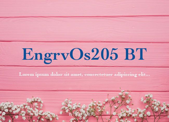 EngrvOs205 BT example