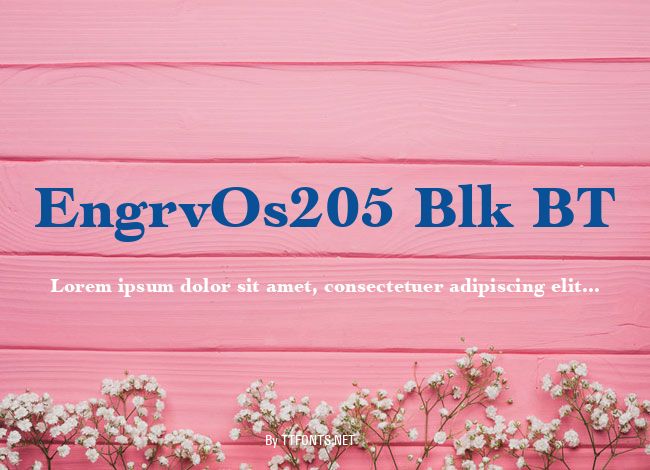 EngrvOs205 Blk BT example