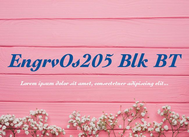 EngrvOs205 Blk BT example