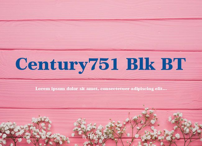 Century751 Blk BT example