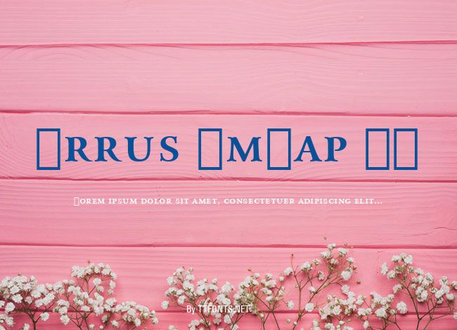 Arrus SmCap BT example