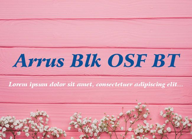 Arrus Blk OSF BT example