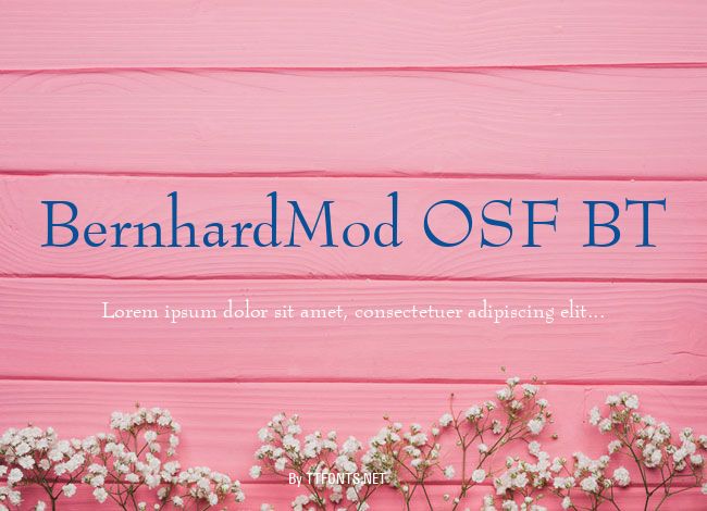 BernhardMod OSF BT example