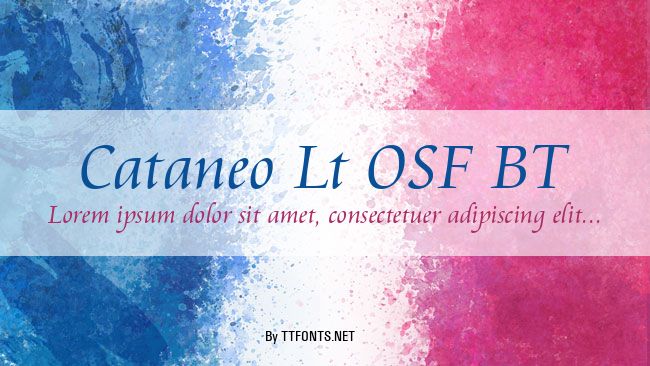Cataneo Lt OSF BT example