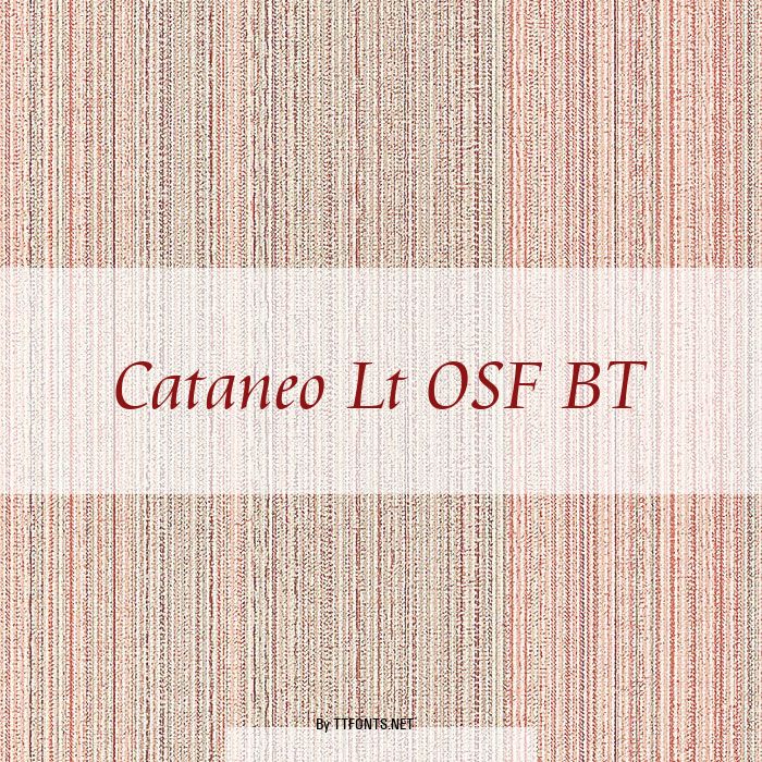 Cataneo Lt OSF BT example