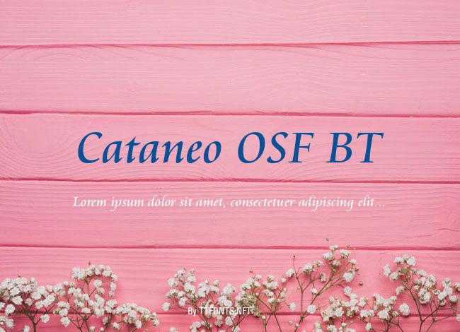Cataneo OSF BT example