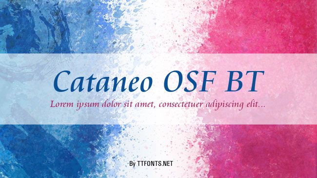 Cataneo OSF BT example