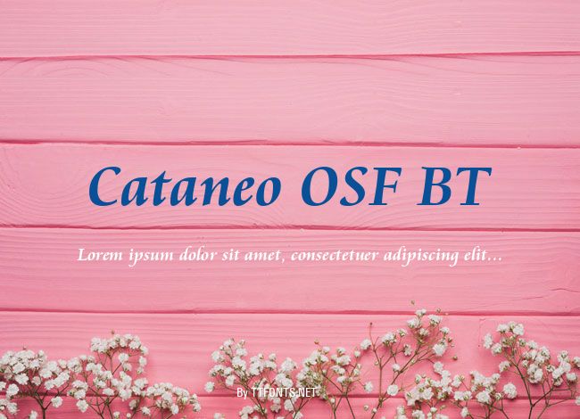 Cataneo OSF BT example