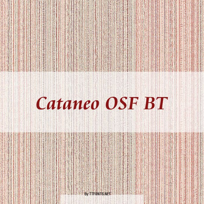 Cataneo OSF BT example