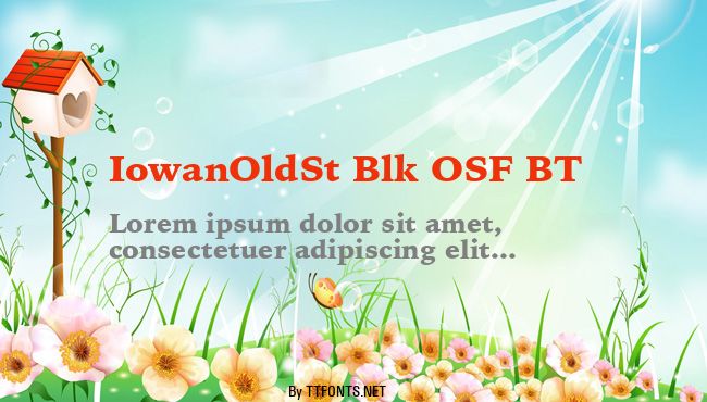 IowanOldSt Blk OSF BT example