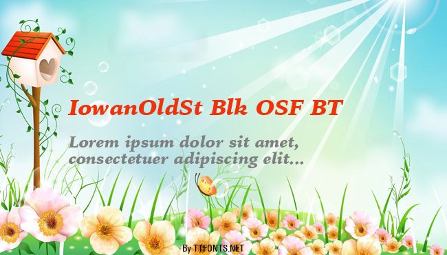 IowanOldSt Blk OSF BT example