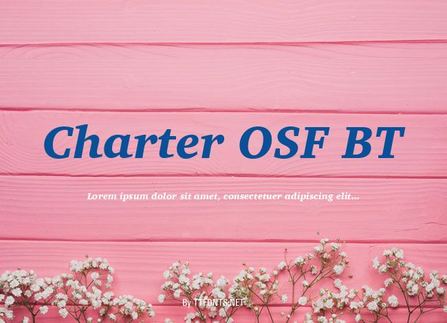 Charter OSF BT example