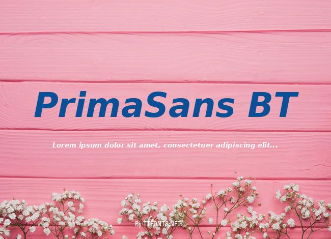 PrimaSans BT example