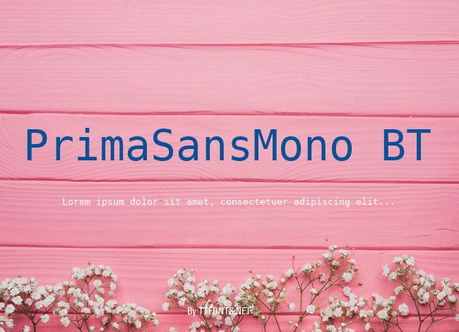 PrimaSansMono BT example