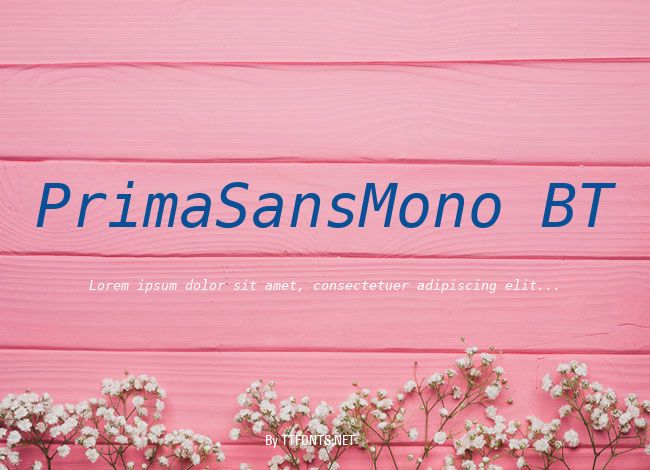PrimaSansMono BT example
