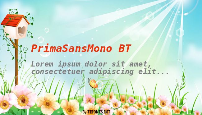 PrimaSansMono BT example