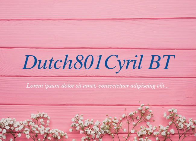 Dutch801Cyril BT example