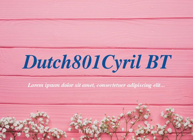 Dutch801Cyril BT example