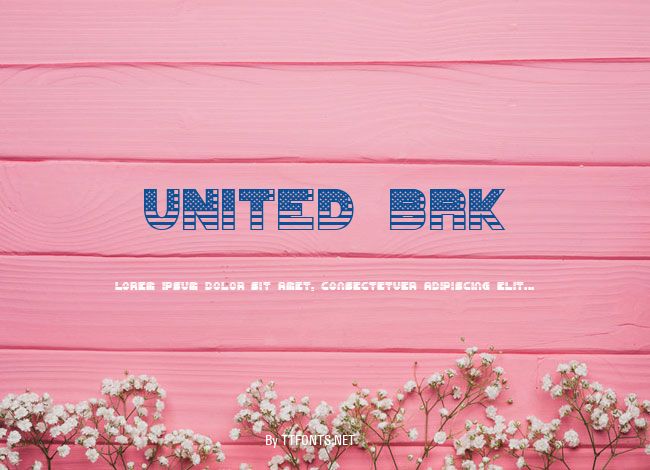 UNITED BRK example