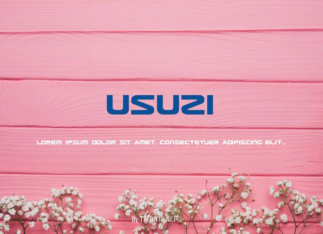 Usuzi example