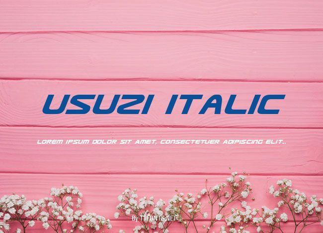 Usuzi Italic example