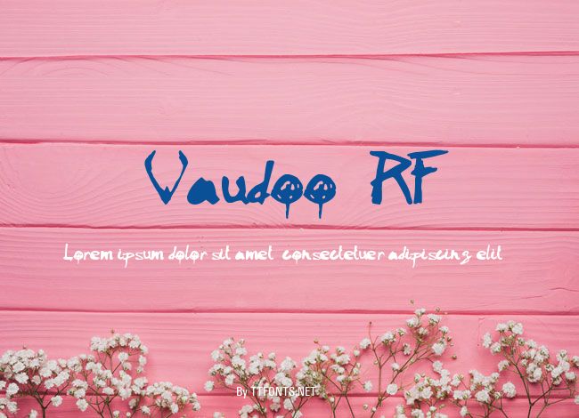 Vaudoo2RF example