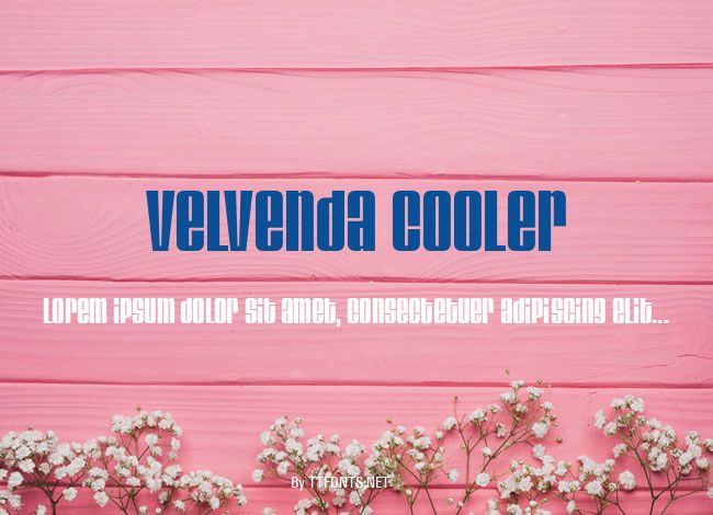 Velvenda Cooler example