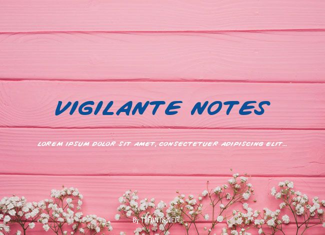 Vigilante Notes example