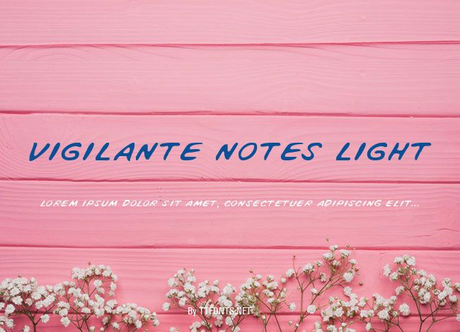 Vigilante Notes Light example