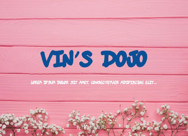 vin's dojo example