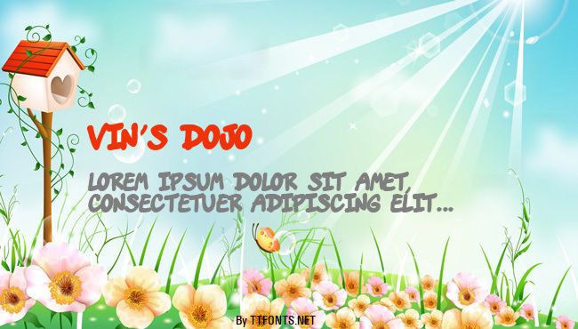 vin's dojo example