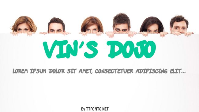 vin's dojo example