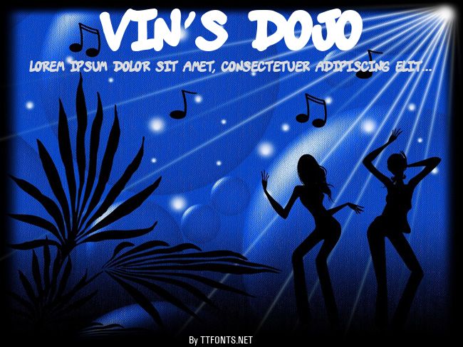 vin's dojo example