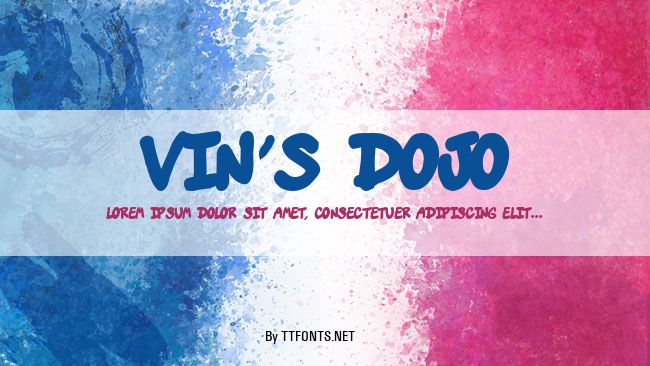 vin's dojo example