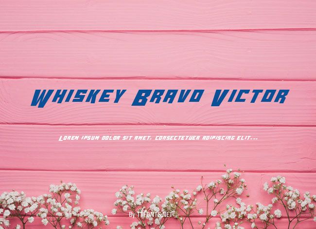 Whiskey Bravo Victor example