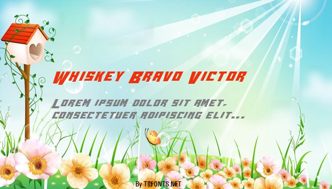 Whiskey Bravo Victor example