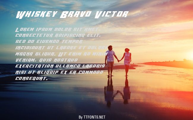 Whiskey Bravo Victor example