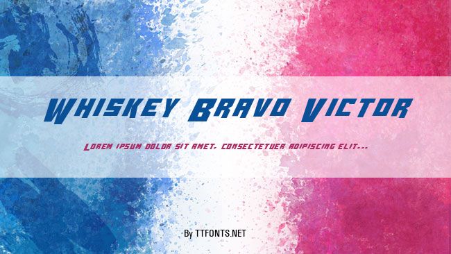 Whiskey Bravo Victor example
