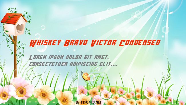 Whiskey Bravo Victor Condensed example