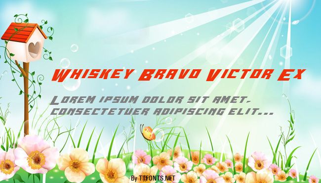 Whiskey Bravo Victor Ex example