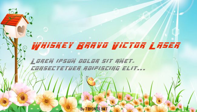 Whiskey Bravo Victor Laser example