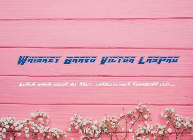 Whiskey Bravo Victor LasPro example