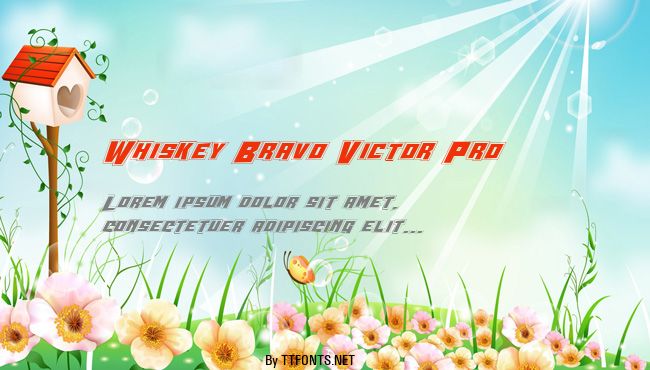 Whiskey Bravo Victor Pro example